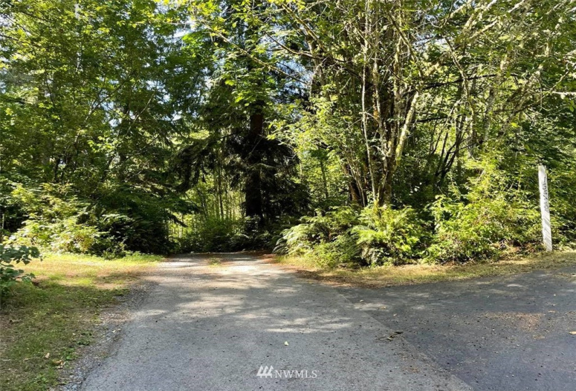 0 13xxx Hall, Arlington, Washington 98241, ,Land,For Sale,Hall,NWM1820418