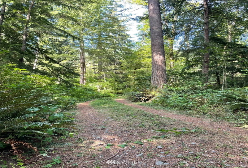 0 13xxx Hall, Arlington, Washington 98241, ,Land,For Sale,Hall,NWM1820418