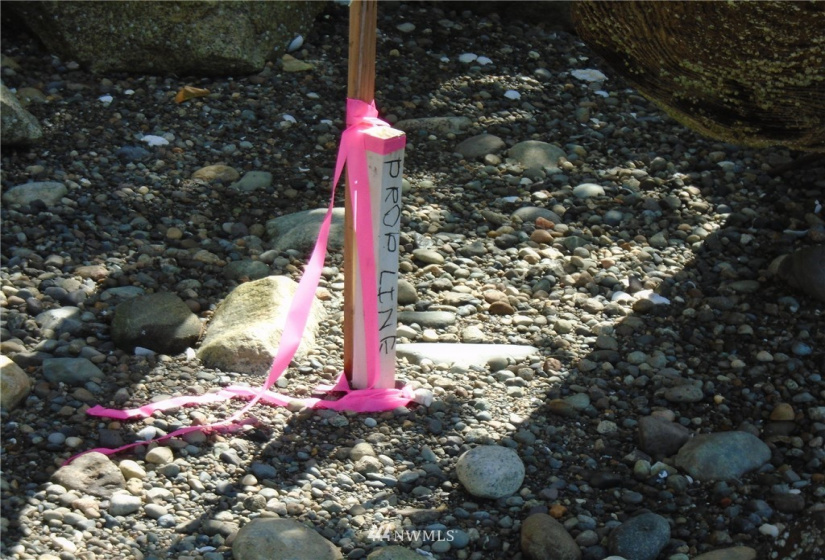 123456 State Route 302, Allyn, Washington 98524, ,Land,For Sale,State Route 302,NWM1826857