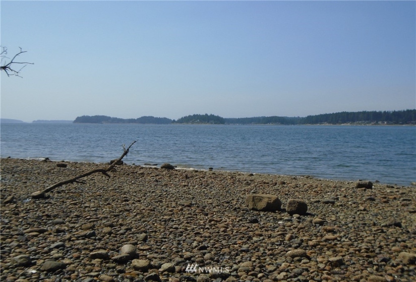 123456 State Route 302, Allyn, Washington 98524, ,Land,For Sale,State Route 302,NWM1826857