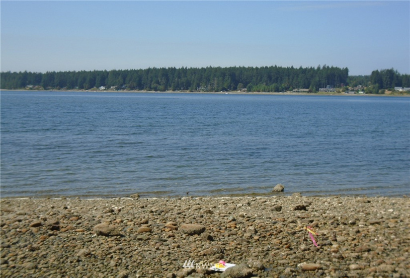 123456 State Route 302, Allyn, Washington 98524, ,Land,For Sale,State Route 302,NWM1826857