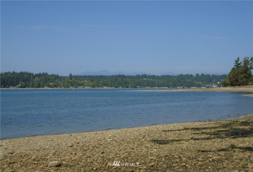 123456 State Route 302, Allyn, Washington 98524, ,Land,For Sale,State Route 302,NWM1826857