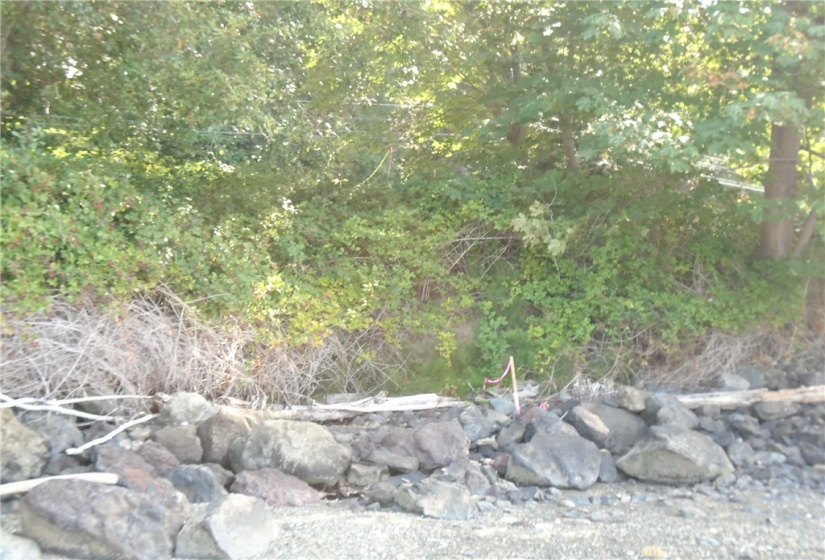 123456 State Route 302, Allyn, Washington 98524, ,Land,For Sale,State Route 302,NWM1826857