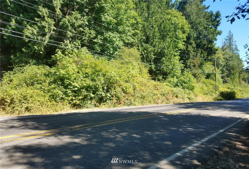 123456 State Route 302, Allyn, Washington 98524, ,Land,For Sale,State Route 302,NWM1826857