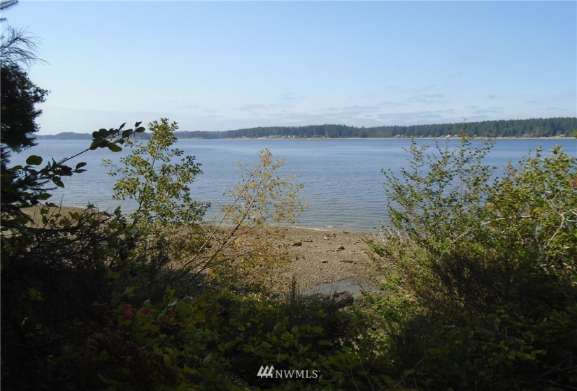 123456 State Route 302, Allyn, Washington 98524, ,Land,For Sale,State Route 302,NWM1826857