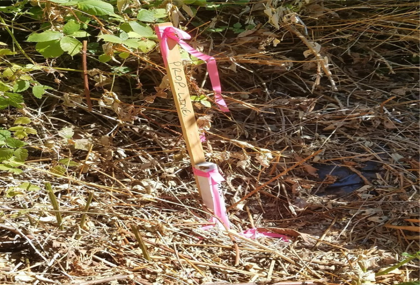 123456 State Route 302, Allyn, Washington 98524, ,Land,For Sale,State Route 302,NWM1826857