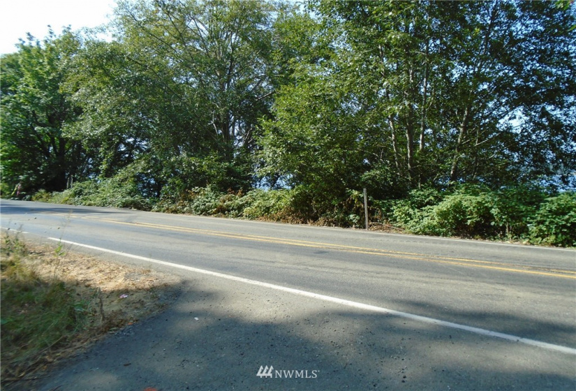 123456 State Route 302, Allyn, Washington 98524, ,Land,For Sale,State Route 302,NWM1826857