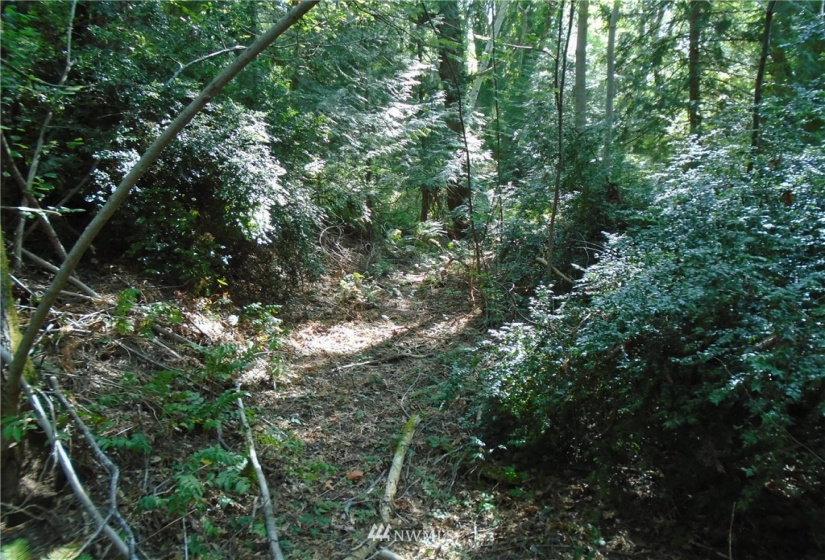 123456 State Route 302, Allyn, Washington 98524, ,Land,For Sale,State Route 302,NWM1826857