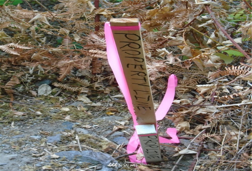 123456 State Route 302, Allyn, Washington 98524, ,Land,For Sale,State Route 302,NWM1826857