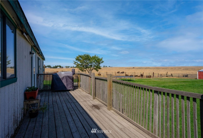 34041 Redwine Canyon, Creston, Washington 99117, 3 Bedrooms Bedrooms, ,2 BathroomsBathrooms,Residential,For Sale,Redwine Canyon,NWM1827762