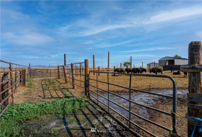 34041 Redwine Canyon, Creston, Washington 99117, 3 Bedrooms Bedrooms, ,2 BathroomsBathrooms,Residential,For Sale,Redwine Canyon,NWM1827762