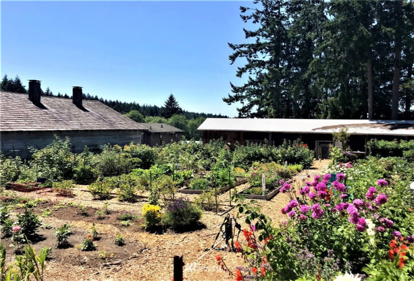 11712 Claussen, Anderson Island, Washington 98303, ,Land,For Sale,Anderson Island,Claussen,NWM1825379