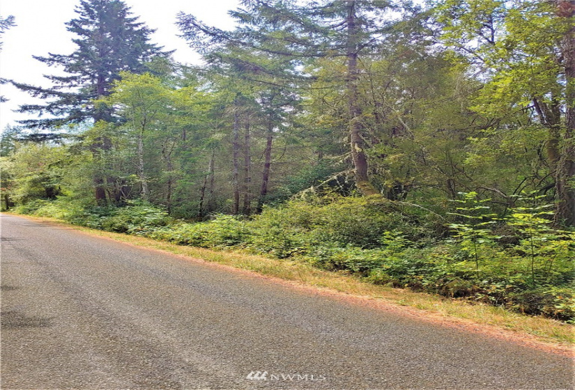 11712 Claussen, Anderson Island, Washington 98303, ,Land,For Sale,Anderson Island,Claussen,NWM1825379