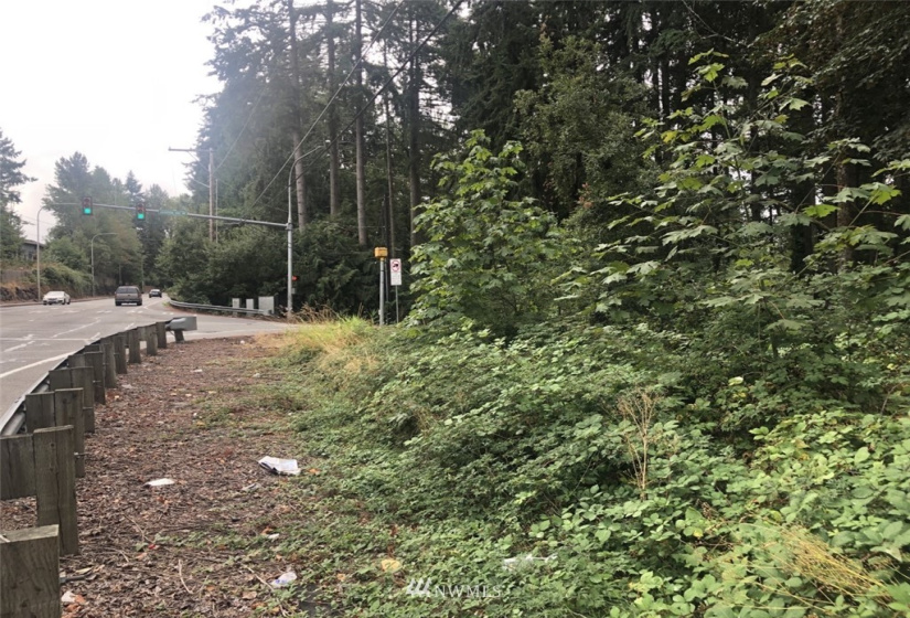 0 Hoquiam, Renton, Washington 98059, ,Land,For Sale,Renton Highland,Hoquiam,NWM1828421