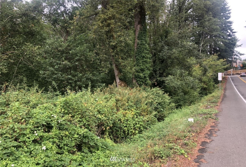 0 Hoquiam, Renton, Washington 98059, ,Land,For Sale,Renton Highland,Hoquiam,NWM1828421