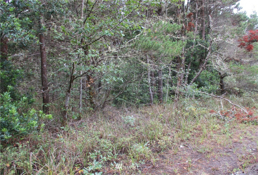 0 Sherman, Westport, Washington 98595, ,Land,For Sale,Sherman,NWM1825855