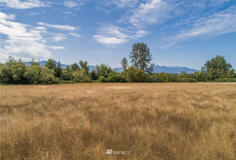 999 Lot 8 Dorothy Hunt, Sequim, Washington 98382, ,Land,For Sale,Dorothy Hunt,NWM1828729