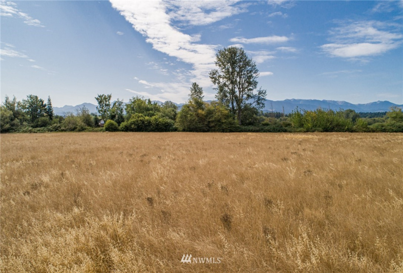 999 Lot 8 Dorothy Hunt, Sequim, Washington 98382, ,Land,For Sale,Dorothy Hunt,NWM1828729