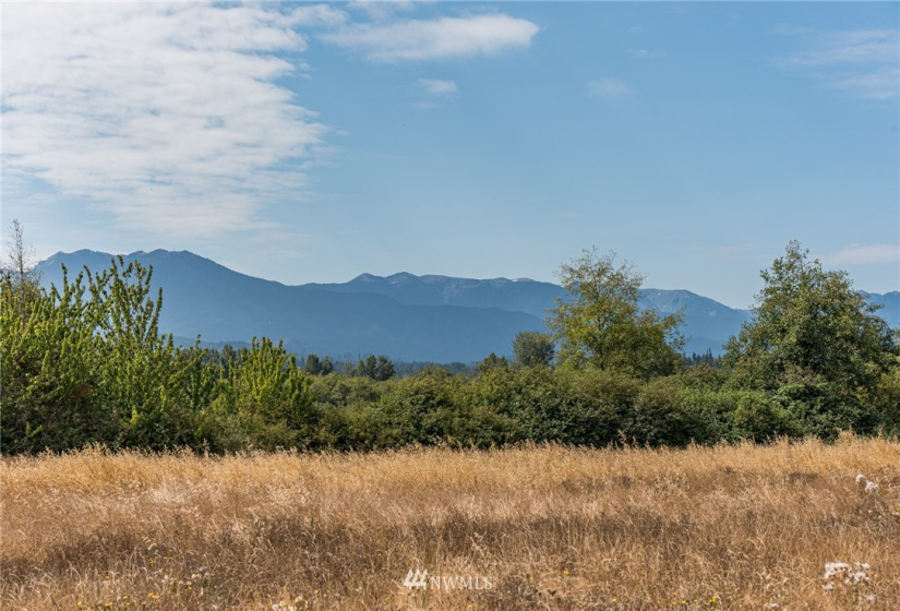 999 Lot 8 Dorothy Hunt, Sequim, Washington 98382, ,Land,For Sale,Dorothy Hunt,NWM1828729