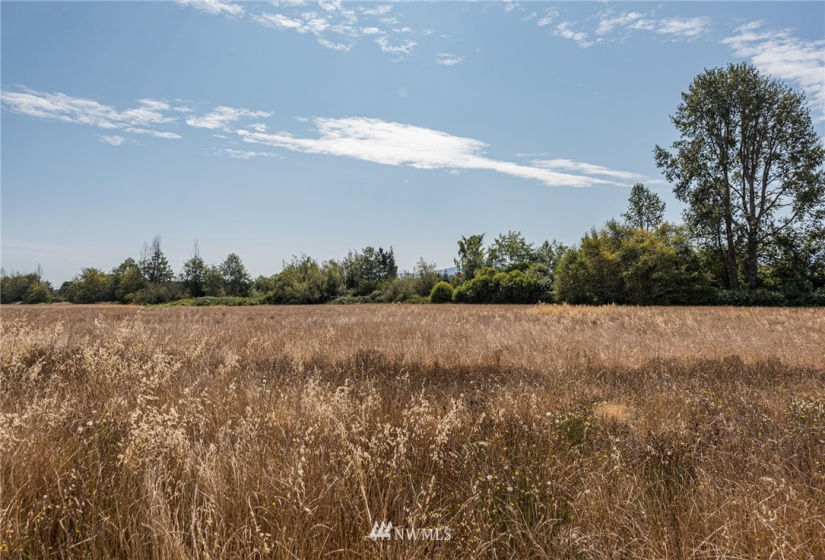 999 Lot 8 Dorothy Hunt, Sequim, Washington 98382, ,Land,For Sale,Dorothy Hunt,NWM1828729