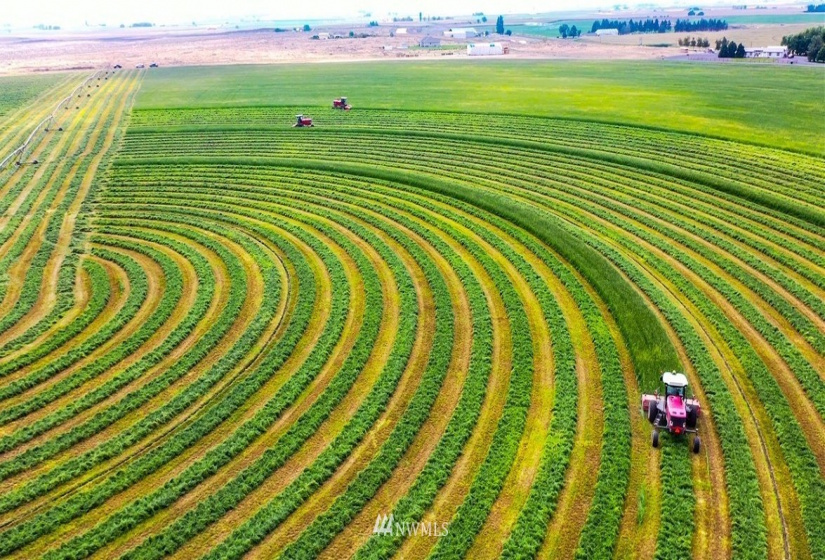 0 Dodson, Ephrata, Washington 98823, ,Farm,For Sale,Dodson,NWM1828862