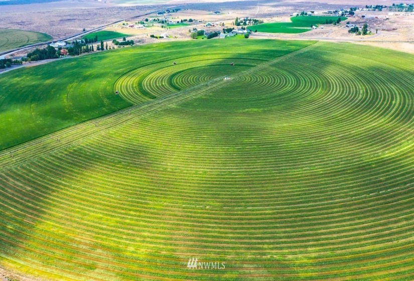 0 Dodson, Ephrata, Washington 98823, ,Farm,For Sale,Dodson,NWM1828862