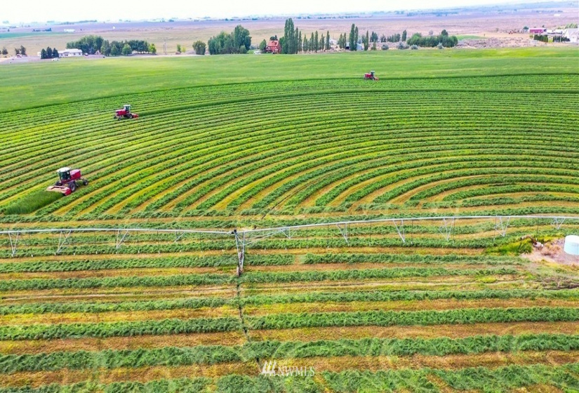 0 Dodson, Ephrata, Washington 98823, ,Farm,For Sale,Dodson,NWM1828862