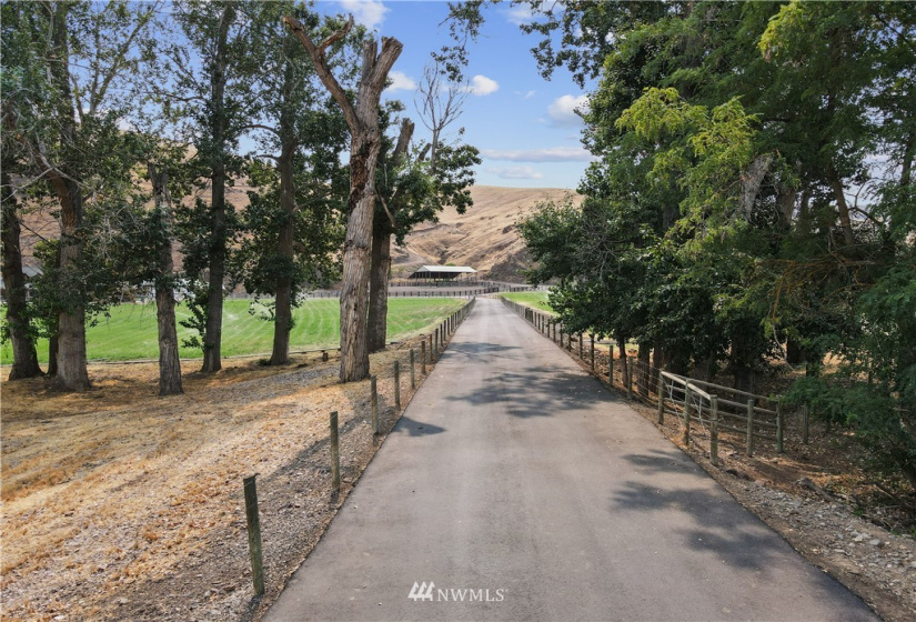 4031 Asotin Creek, Asotin, Washington 99402, ,Residential,For Sale,Asotin Creek,NWM1829072