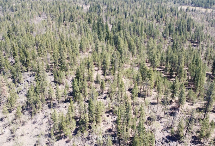 0 SR 97, Goldendale, Washington 98620, ,Land,For Sale,SR 97,NWM1823379