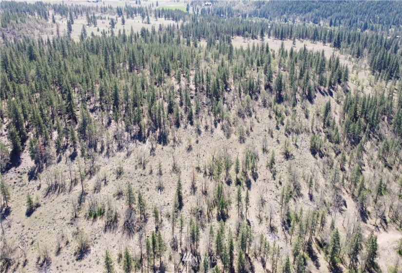 0 SR 97, Goldendale, Washington 98620, ,Land,For Sale,SR 97,NWM1823379