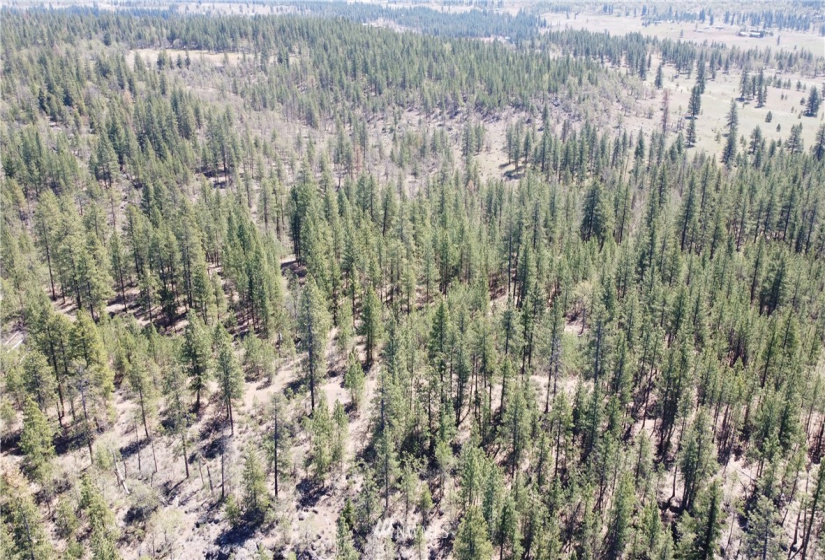 0 SR 97, Goldendale, Washington 98620, ,Land,For Sale,SR 97,NWM1823381