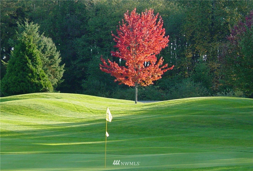 9540 Semiahmoo, Blaine, Washington 98230, ,Residential,For Sale,Semiahmoo Marina,Semiahmoo,NWM1828782