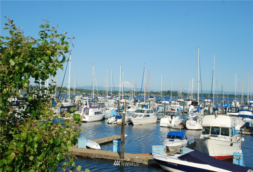 9540 Semiahmoo, Blaine, Washington 98230, ,Residential,For Sale,Semiahmoo Marina,Semiahmoo,NWM1828782