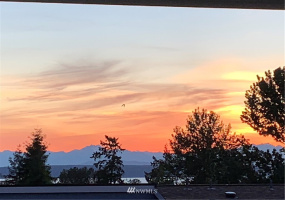 2531 248th, Kent, Washington 98032, 1 Bedroom Bedrooms, ,1 BathroomBathrooms,Residential,For Sale,Sunset Vista,248th,NWM1829168