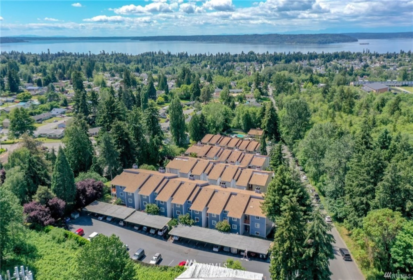 2531 248th, Kent, Washington 98032, 1 Bedroom Bedrooms, ,1 BathroomBathrooms,Residential,For Sale,Sunset Vista,248th,NWM1829168