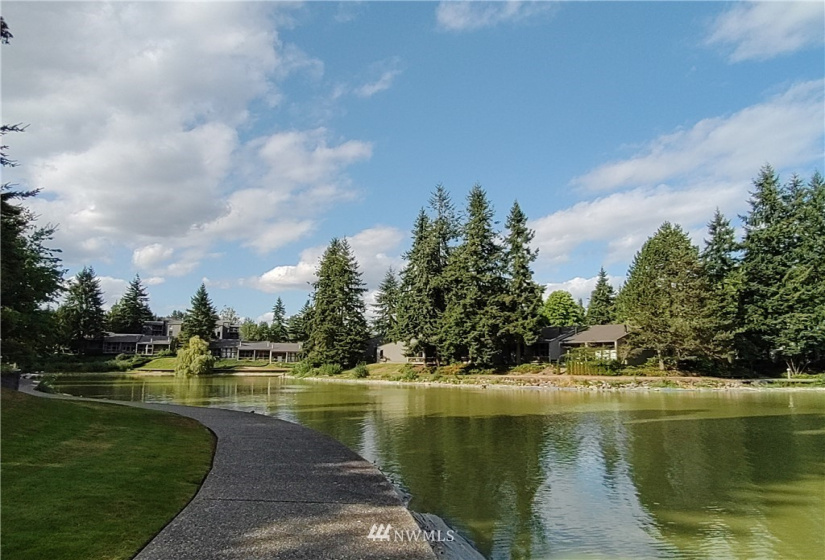 6234 138, Redmond, Washington 98052, 1 Bedroom Bedrooms, ,1 BathroomBathrooms,Residential,For Sale,138,NWM1816755