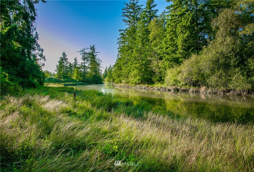 8403 Kickerville, Blaine, Washington 98230, 4 Bedrooms Bedrooms, ,2 BathroomsBathrooms,Residential,For Sale,Kickerville,NWM1829414