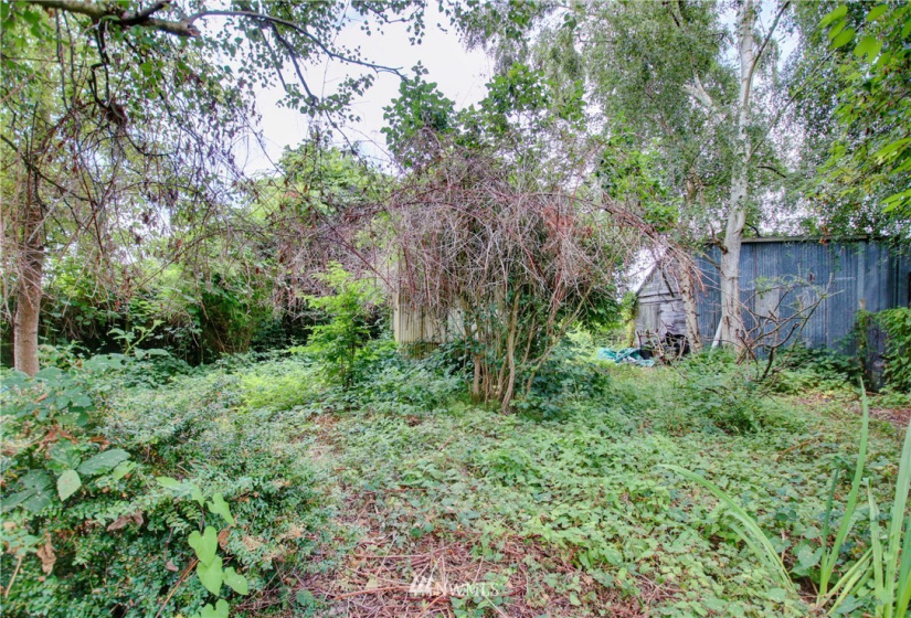 16603 West Kamb, Mount Vernon, Washington 98273, 4 Bedrooms Bedrooms, ,2 BathroomsBathrooms,Residential,For Sale,West Kamb,NWM1828991