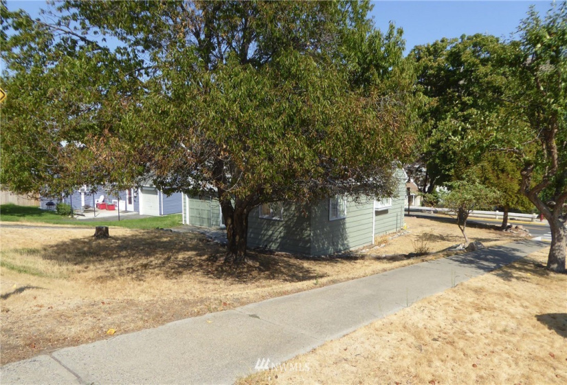 202 Columbia, Coulee Dam, Washington 99116, 3 Bedrooms Bedrooms, ,1 BathroomBathrooms,Residential,For Sale,Town of Coulee Dam,Columbia,NWM1829702