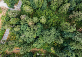 287 XX Cherry Valley, Duvall, Washington 98019, ,Land,For Sale,Cherry Valley,NWM1828401