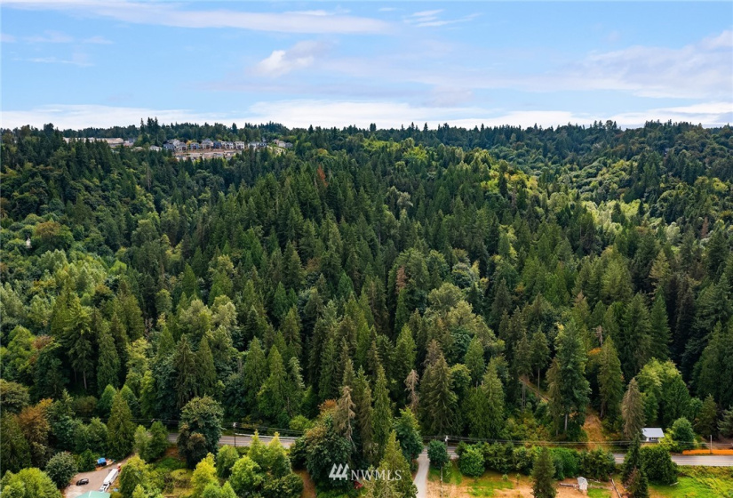 287 XX Cherry Valley, Duvall, Washington 98019, ,Land,For Sale,Cherry Valley,NWM1828401