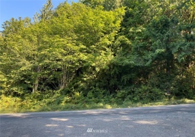 0 Alderwood, Belfair, Washington 98528, ,Land,For Sale,Alderwood,NWM1828711