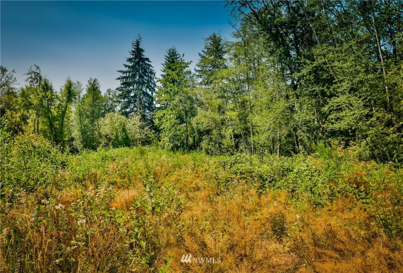 0 190th, Dupont, Washington 98327, ,Land,For Sale,190th,NWM1830153