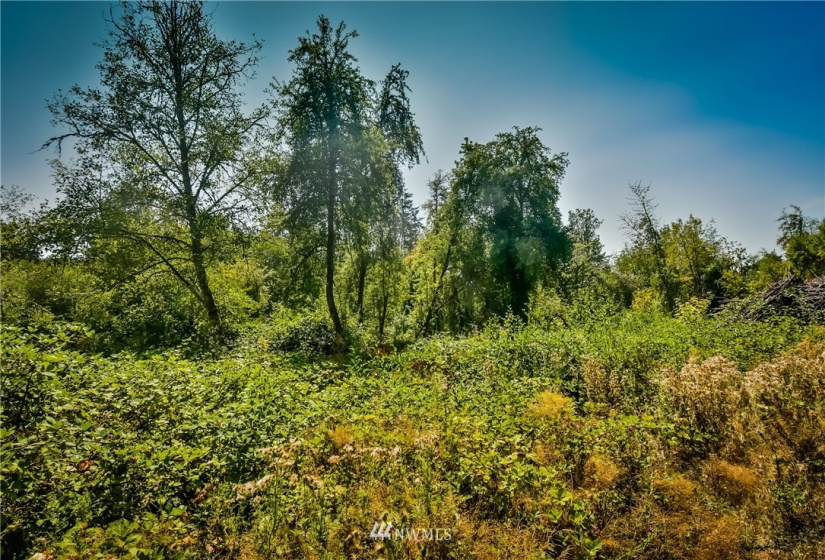 0 190th, Dupont, Washington 98327, ,Land,For Sale,190th,NWM1830153