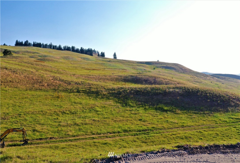 367 B Mary Anne Creek, Oroville, Washington 98844, ,Land,For Sale,Mary Anne Creek,NWM1829742