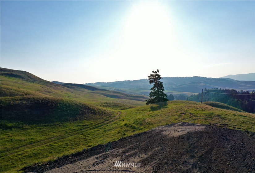 367 B Mary Anne Creek, Oroville, Washington 98844, ,Land,For Sale,Mary Anne Creek,NWM1829742