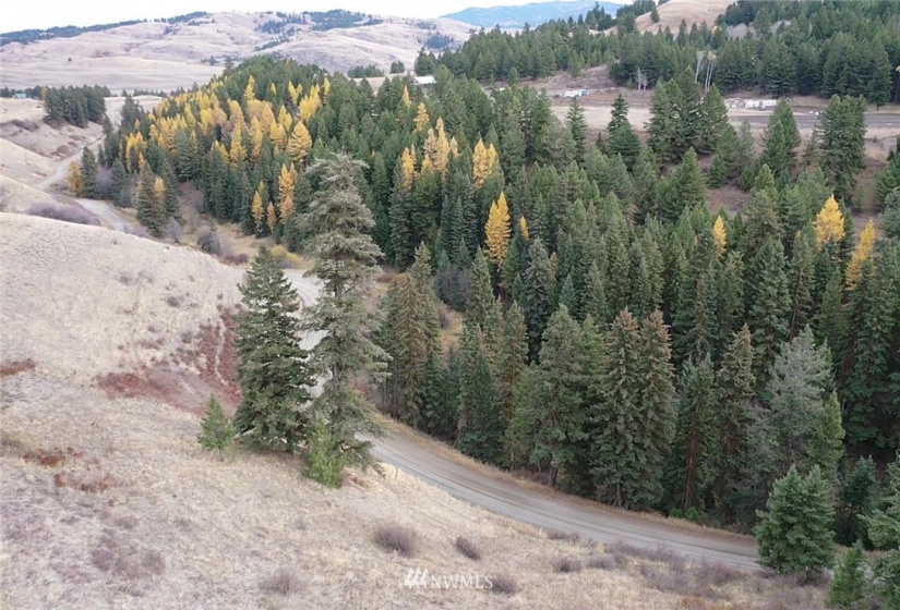 367 B Mary Anne Creek, Oroville, Washington 98844, ,Land,For Sale,Mary Anne Creek,NWM1829742
