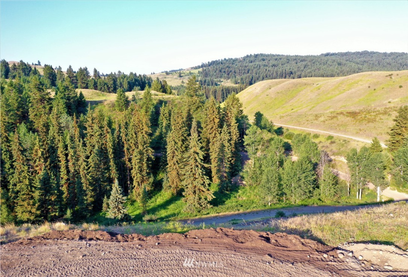 367 B Mary Anne Creek, Oroville, Washington 98844, ,Land,For Sale,Mary Anne Creek,NWM1829742