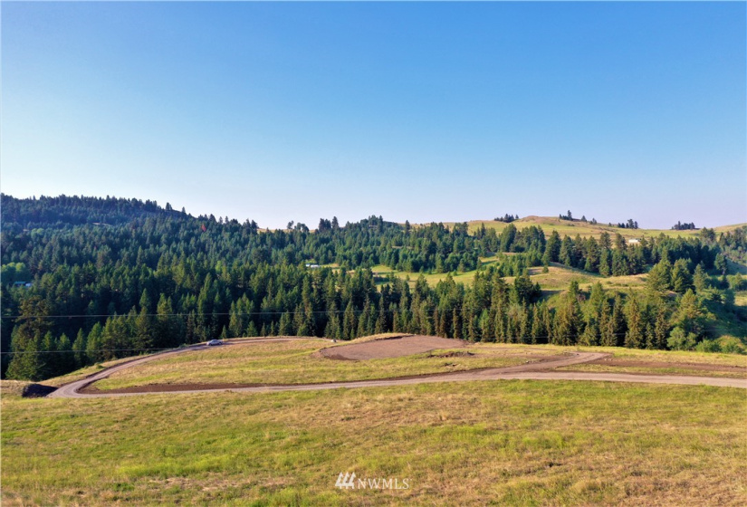 367 B Mary Anne Creek, Oroville, Washington 98844, ,Land,For Sale,Mary Anne Creek,NWM1829742