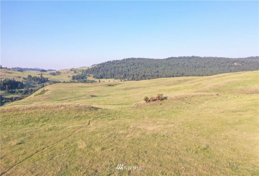 367 B Mary Anne Creek, Oroville, Washington 98844, ,Land,For Sale,Mary Anne Creek,NWM1829742